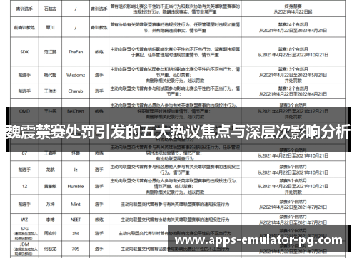 魏震禁赛处罚引发的五大热议焦点与深层次影响分析