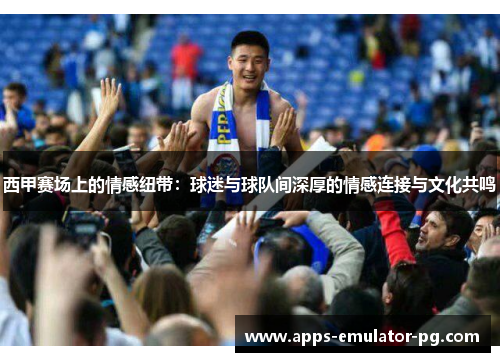 西甲赛场上的情感纽带:球迷与球队间深厚的情感连接与文化共鸣