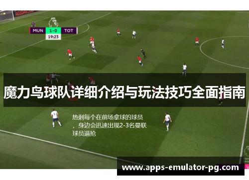 魔力鸟球队详细介绍与玩法技巧全面指南
