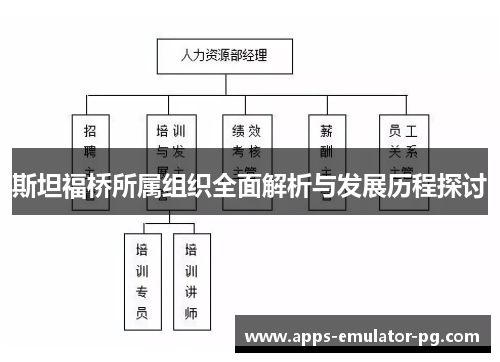 斯坦福桥所属组织全面解析与发展历程探讨 斯坦福桥所属组织全面解析与发展历程探讨