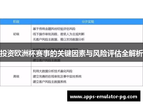 投资欧洲杯赛事的关键因素与风险评估全解析