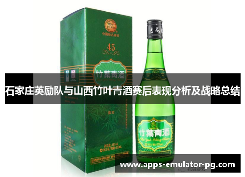 石家庄英励队与山西竹叶青酒赛后表现分析及战略总结